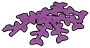 Foliage: sprawling patch of leafy growth or seaweed in Magenta, Rich