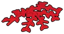 Foliage: sprawling patch of leafy growth or seaweed in Red, Flame