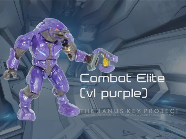 Covenant Combat Elite v1 (purple)