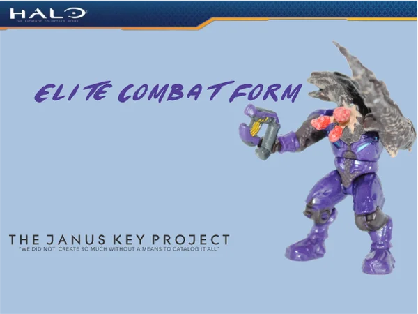 Elite Combat Form v1 (purple)