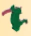 Creature, complete: small buzzard with red beak in Green, Dark