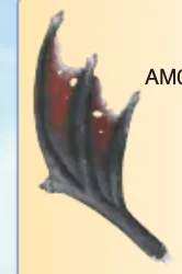 Body part: sea dragon's wing, left, slightly tattered in Black