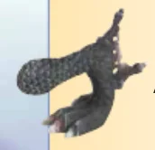 Body part: sea dragon's rear leg, left