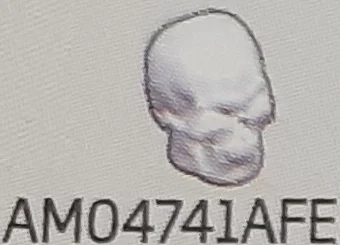Body part: skull, human in White, Eggshell