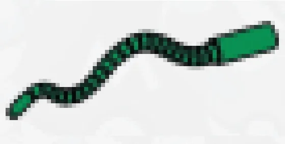 Weapon, Melee: whip, segmented, large