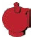 Food: apple in Red, Rosebud