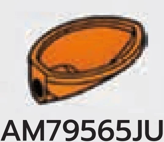 Ear in Orange, Smoky