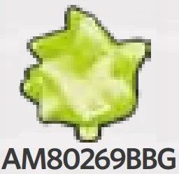Food: pineapple, crown only in Green, Spring