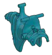 AM80844 in Blue, French