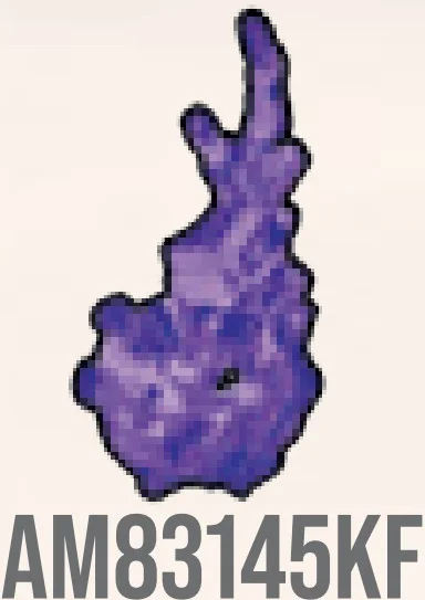 Blast effect #3