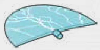 Halo Energy Shield, Light Blue in Multicolored