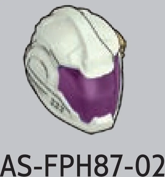 AS-FPH87-02 in Multicolored