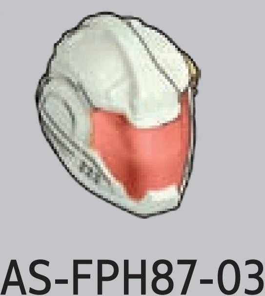 AS-FPH87-03