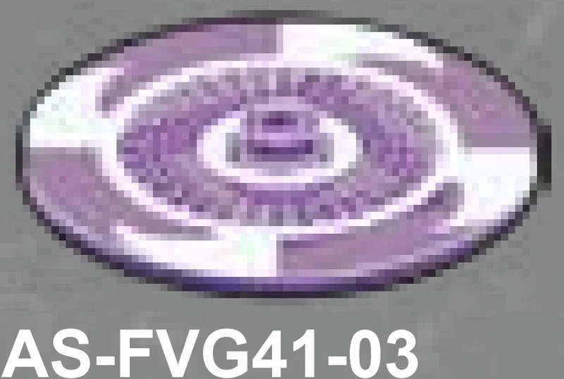 Weapon, Armor: Titan Sentinel shield in Multicolored