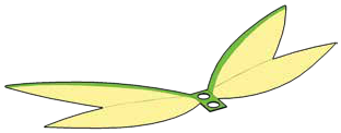 AS-GCN19-07 in Multicolored
