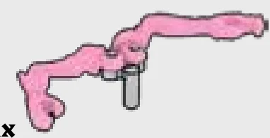 Body part: disembodied spectral arms, pair in Pink, Rose