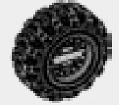 Wheel, Halo with Tire