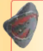 Weapon, Armor: shield, medium with dragon facing left on red field