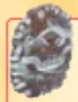 Weapon, Armor: shield, large with demonic face and snow pattern in Multicolored
