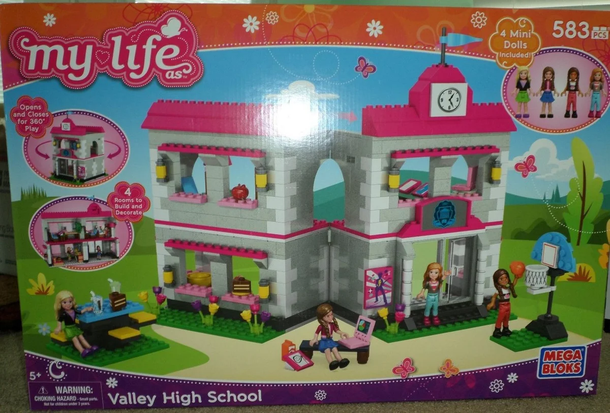 My Life As Valley Highschool