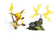 Pokémon Raichu