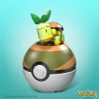 Pokémon Turtwig
