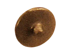 AM04846 in Brown, Dark