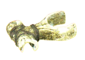 AM04963 in Multi, textured: bones