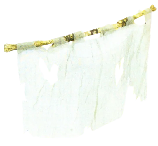AS0366058 in Multicolored