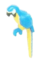 Creature, complete: parrot, blue with white face, black beak in Multicolored
