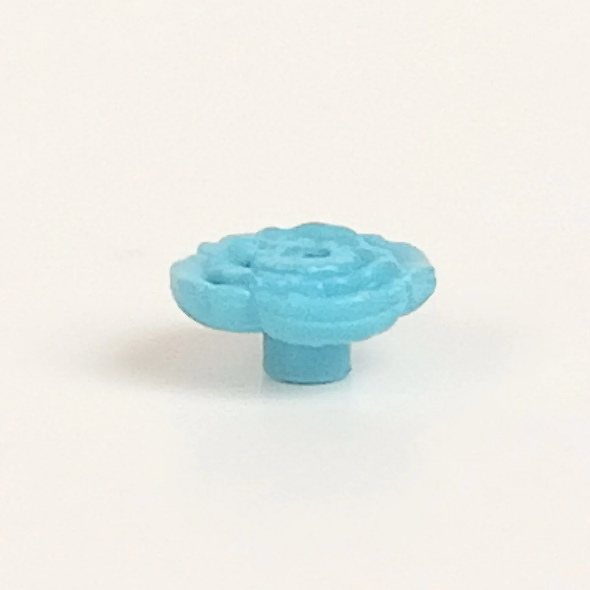 Foliage: flower, dish-shaped bloom