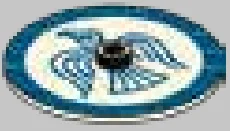 Weapon, Armor: Viking shield, stylized blue falcon on white field in White
