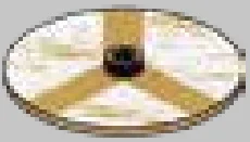 Weapon, Armor: Viking shield, white field divided by tan border in Beige, Light Olive Drab