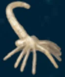 Creature, complete: xenomorph facehugger, splayed in Sand, Pale (Camo)