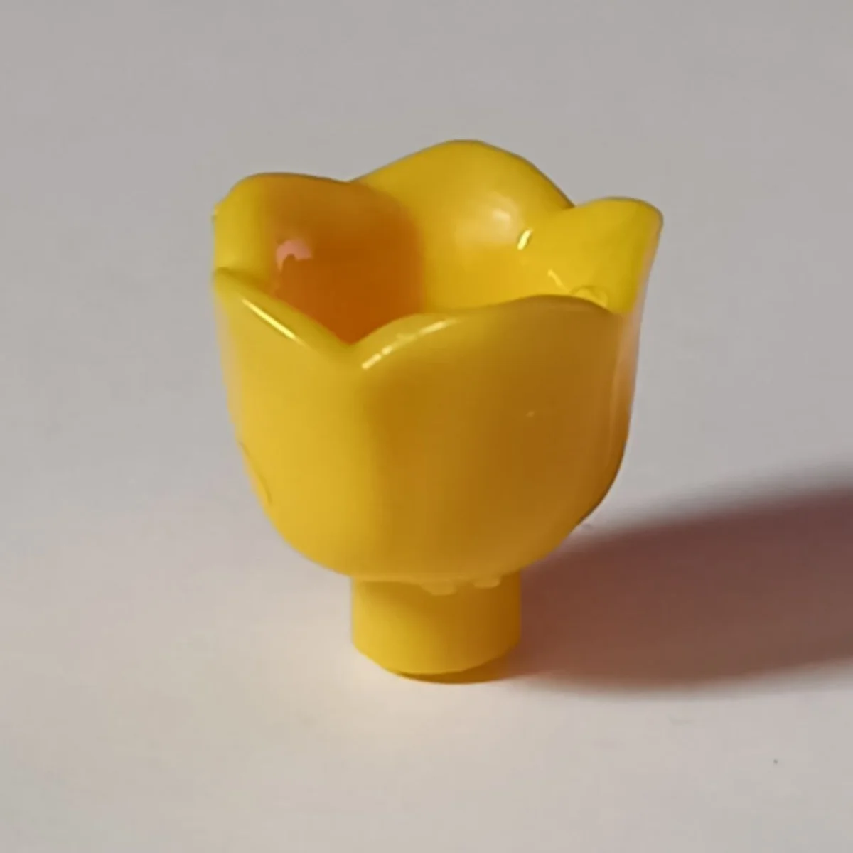 Foliage: flower, cup-shaped bloom in Yellow, Lemon