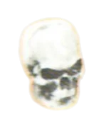 AS0362027 in Multicolored
