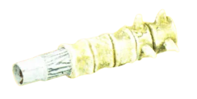 AS0366020 in Multicolored