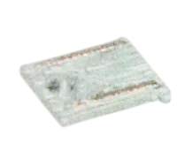 AS0101713 in Multicolored