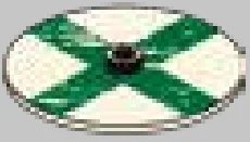 Weapon, Armor: Viking shield, green cross on white field in White