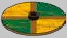 Weapon, Armor: Viking shield, quartered green & yellow fields in Brown, Milk Chocolate