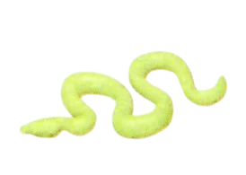 Creature, complete: snake in Yellow, Green