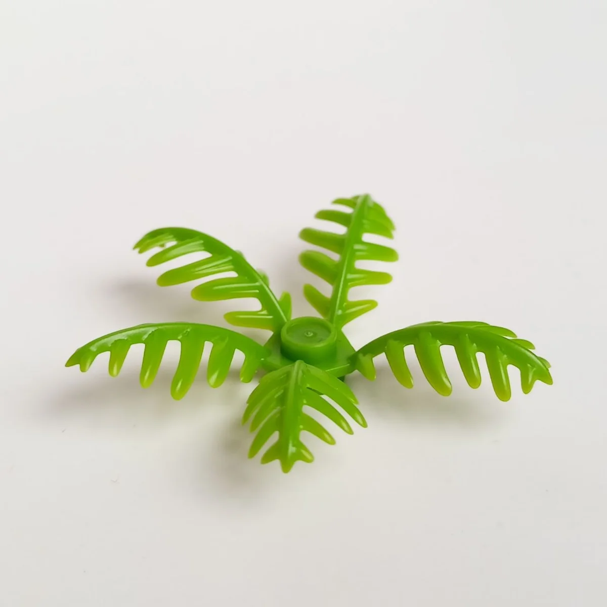 Foliage: fern, small with 5 fronds