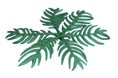 Foliage: leaves, palm tree, five branches in Green, Dark