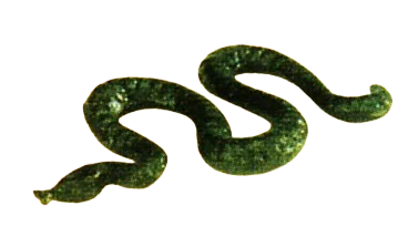 Creature, complete: snake in Green