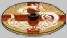 Weapon, Armor: Viking shield, stylized white dragon emblem in Beige, Light Olive Drab