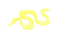 Creature, complete: snake in Yellow